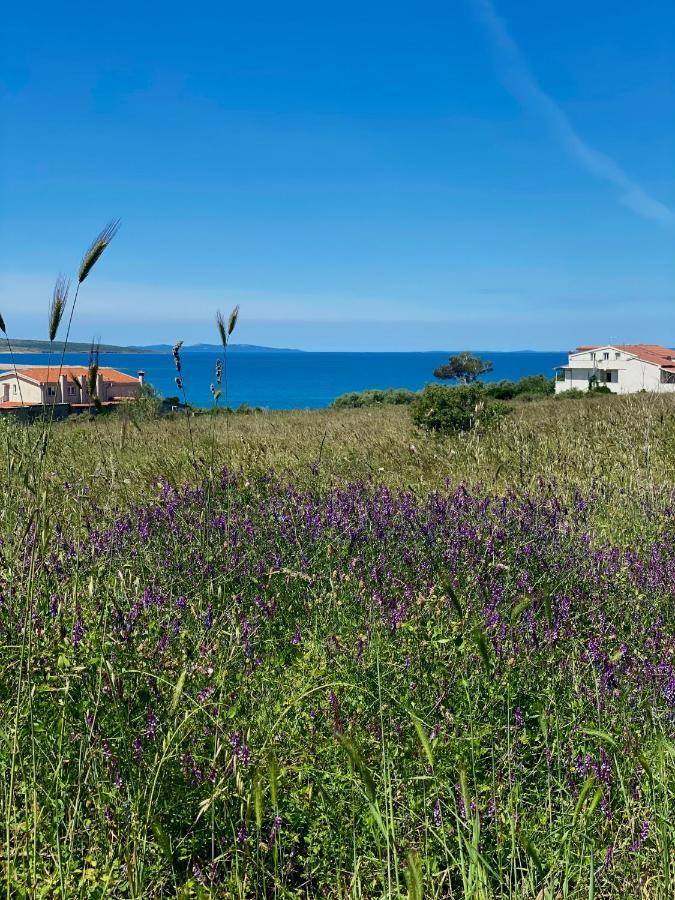 Villa Cvita Povljana Exteriör bild