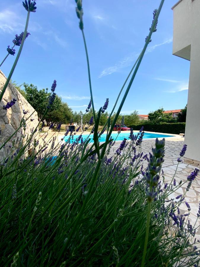 Villa Cvita Povljana Exteriör bild